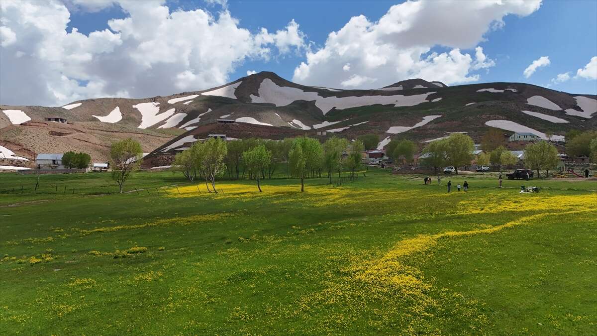 Konya sınırında iki mevsim bir arada! 2 bin rakımlı yaylada kış direniyor, bahar coşuyor 2